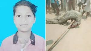10 साल का बेटा बना हीरो: नदी में कूदकर मगरमच्छ के मुंह से पिता की बचाई जान